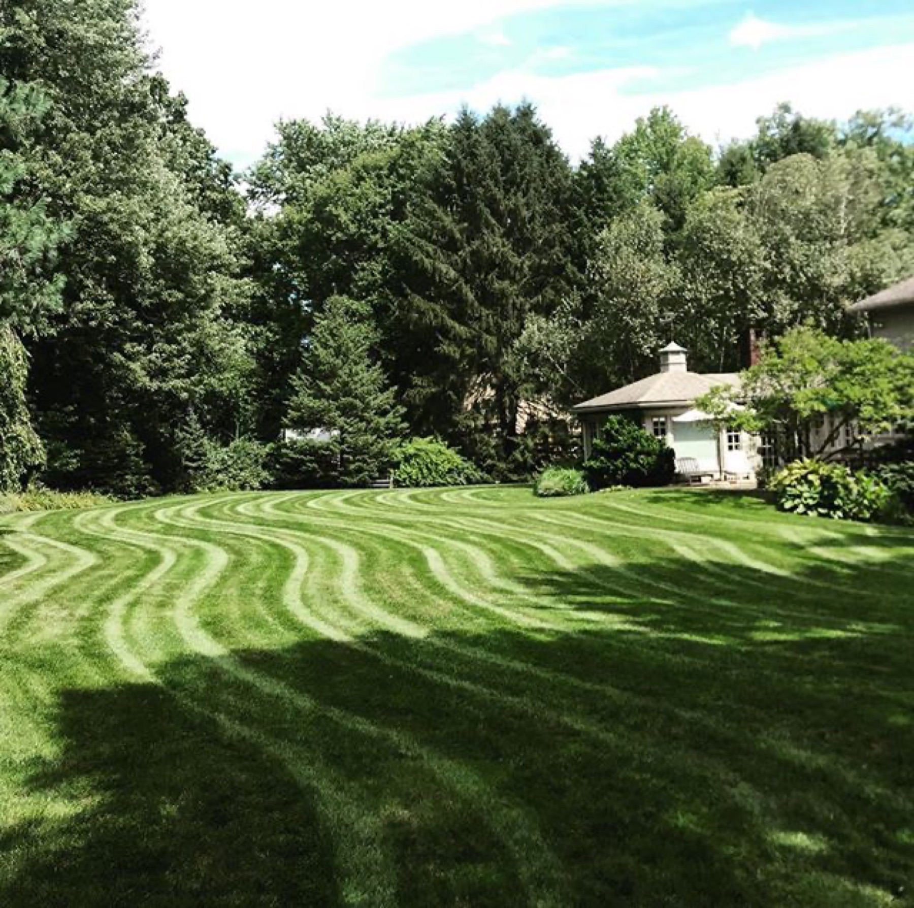 Freshly mowed lawn with curved stripes by Martinez & Son
